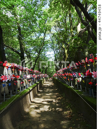 赤い帽子の地蔵様と緑の小道 44749458