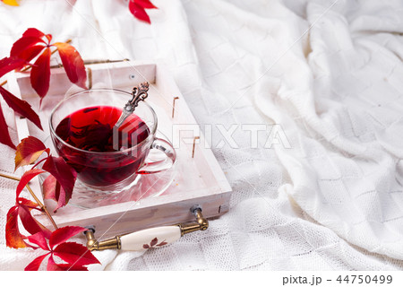 Hot healthy rose tea on wooden tray with autumn fallen leaves on knitted warm woolen blanket 44750499