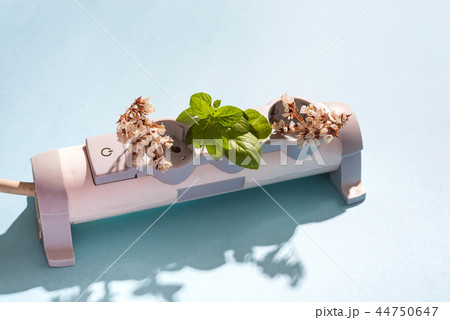 Power Strip Garden and eco electric plug on the blue background. A conceptual photo based on sources Power Strip Garden and eco electric plug on the blue background. A conceptual photo based on sources 44750647