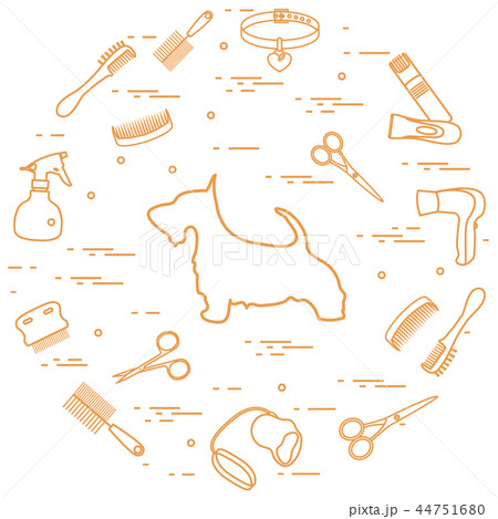 Scotch terrier silhouette, combs, collar, leash, 44751680