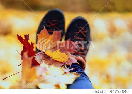 Maple leaves arranged on on the feet in sneakers. Natural autumn bright background Maple leaves arranged on on the feet in sneakers. Natural autumn bright background 44752840