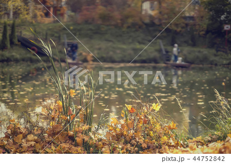 Scenic autumn lakeside, yellow and orange leaves in dry grass Scenic autumn lakeside, yellow and orange leaves in dry grass 44752842