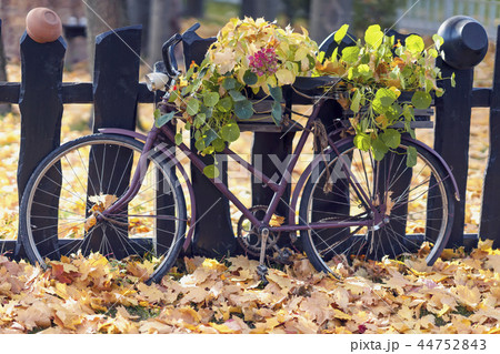 Old wooden fence and bike with fresh flowers among fallen autumn leaves, Atmospheric landscape Old wooden fence and bike with fresh flowers among fallen autumn leaves, Atmospheric landscape 44752843