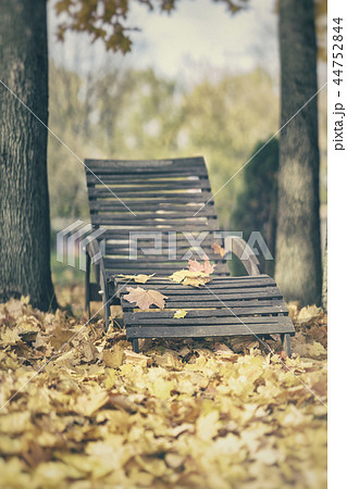 Old wooden chaise lounge among fallen autumn leaves. Atmospheric landscape, relax, nostalgia concept 44752844