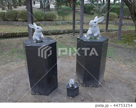 親子うさぎ_出雲大社 親子うさぎ_出雲大社 44753254