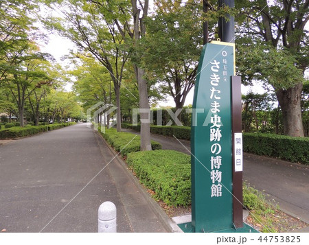 さきたま古墳公園 さきたま古墳公園 44753825