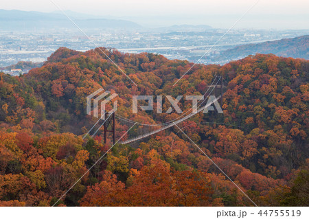 ほしだ園地 紅葉 ほしだ園地 紅葉 44755519