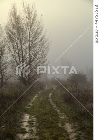Path in fog Path in fog 44755523