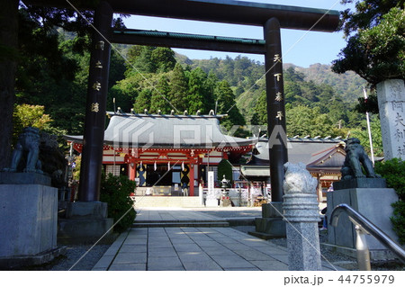 大山阿夫利神社 大山阿夫利神社 44755979