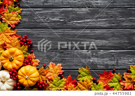 Top view of Autumn maple leaves with Pumpkin Top view of Autumn maple leaves with Pumpkin 44755981