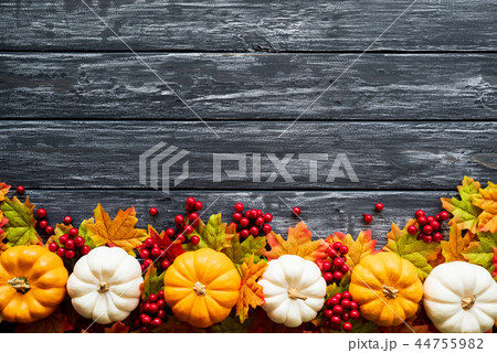 Top view of Autumn maple leaves with Pumpkin Top view of Autumn maple leaves with Pumpkin 44755982