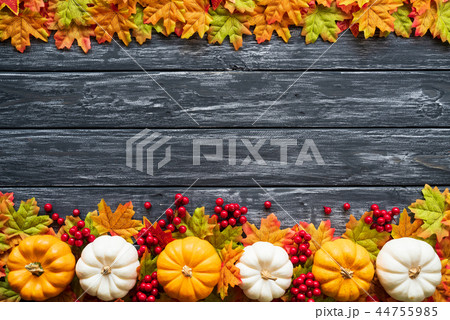 Top view of  Autumn maple leaves with Pumpkin 44755985