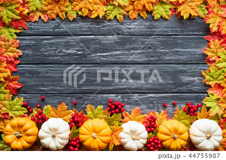 Top view of Autumn maple leaves with Pumpkin Top view of Autumn maple leaves with Pumpkin 44755987