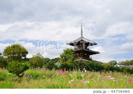 奈良斑鳩の里・清々しい秋の法起寺１１の写真素材 [44756460] - PIXTA