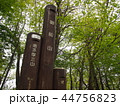 奥多摩　御前山 44756823