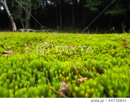 飯能　ウノタワ 44756841