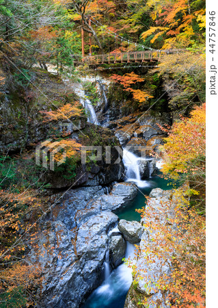 みたらい渓谷 みたらいの滝 44757846