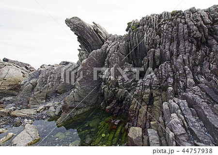室戸岬のタービダイト層 室戸岬のタービダイト層 44757938