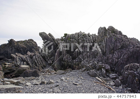 室戸岬のタービダイト層 室戸岬のタービダイト層 44757943