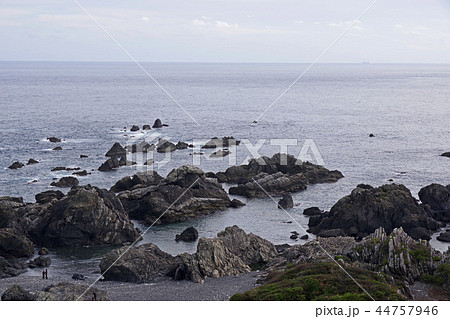 室戸岬の全景 44757946