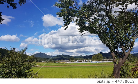 秋 雲 空 44758015