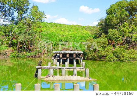 大阪　いたすけ古墳（世界文化遺産） 44758166