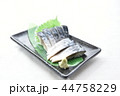 しめ鯖 44758229