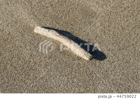 流木 流木 44759022