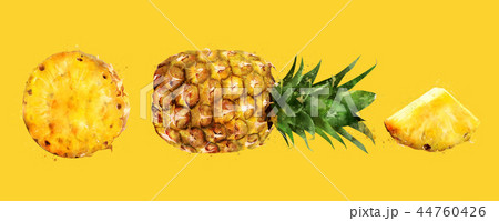 Pineapple on yellow background. Watercolor illustration 44760426