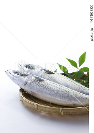 鯖3 鯖3 44760836