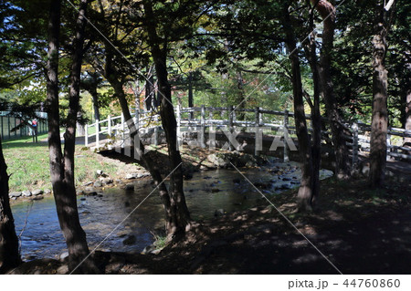 木立と小川と太鼓橋 44760860
