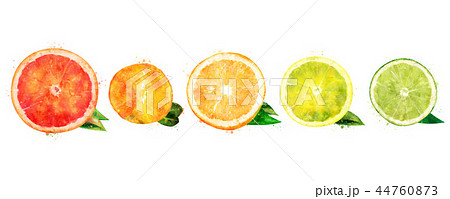 Watercolor orange, lemon, citrus, mandarin, grapefruit and lime 44760873