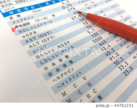 メタボ健診の結果 44761231