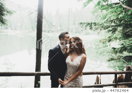 Happy wedding couple walking in a botanical park 44762464