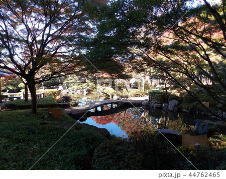 水面に映える紅葉 44762465