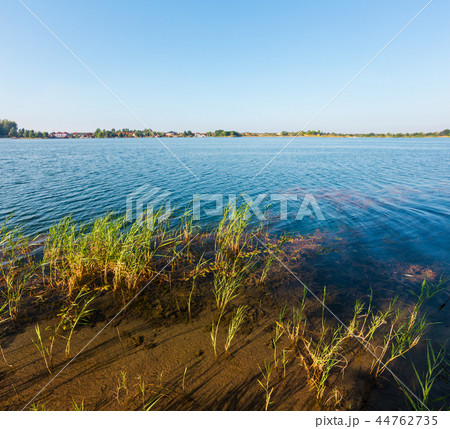 Summer lake calm rushy shore. 44762735