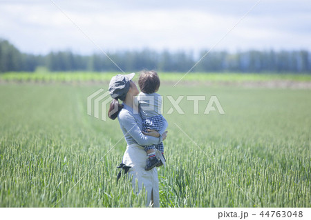 畑の親子 44763048
