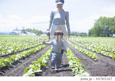 畑の親子 44763107