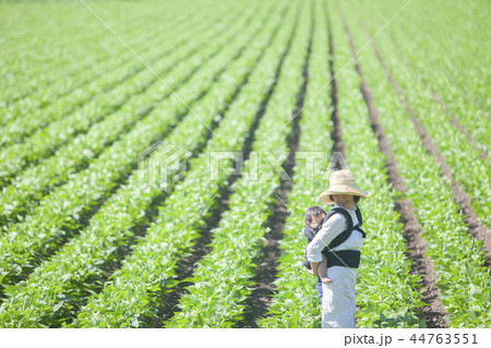 畑　おんぶして仕事 44763551