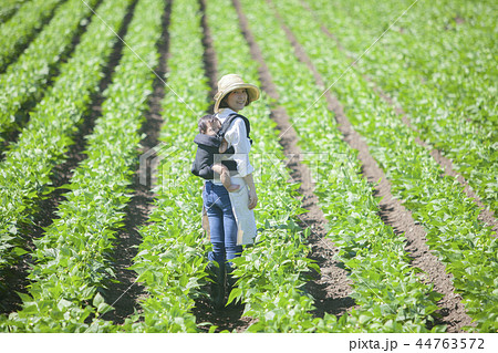 畑　おんぶして仕事 44763572