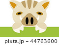 変なイノシシ 44763600