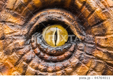 Eyes of the dinosaur hunters. Eyes of the dinosaur hunters. 44764011