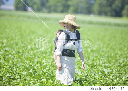 じゃがいも畑の親子 44764132