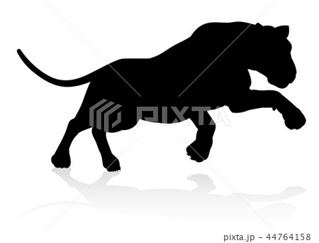 Silhouette Lion Silhouette Lion 44764158