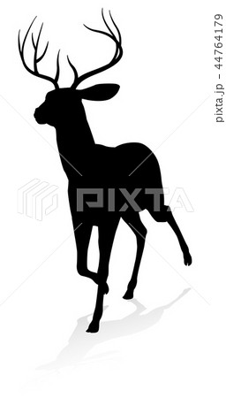 Deer Animal Silhouette 44764179