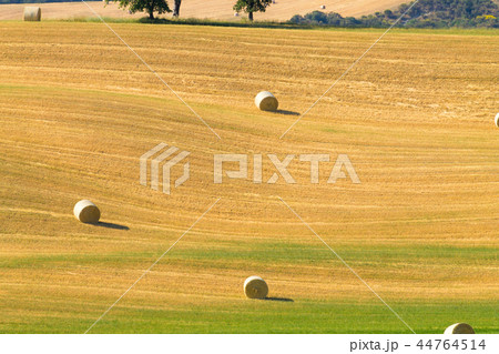 Tuscany hills landscape, Italy Tuscany hills landscape, Italy 44764514