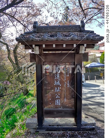 ピンクの雲の中に居るような高遠の小彼岸桜 ピンクの雲の中に居るような高遠の小彼岸桜 44766106