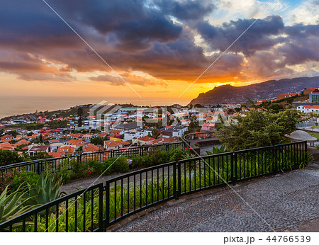 Town Funchal - Madeira Portugal Town Funchal - Madeira Portugal 44766539