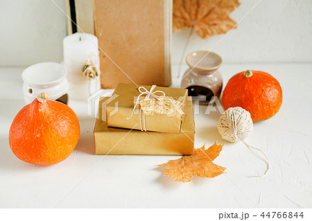 Still life on white. Pumpkins, autumn leaves Still life on white. Pumpkins, autumn leaves 44766844