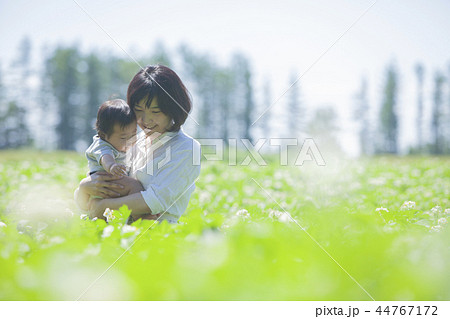 じゃがいも畑の親子 じゃがいも畑の親子 44767172